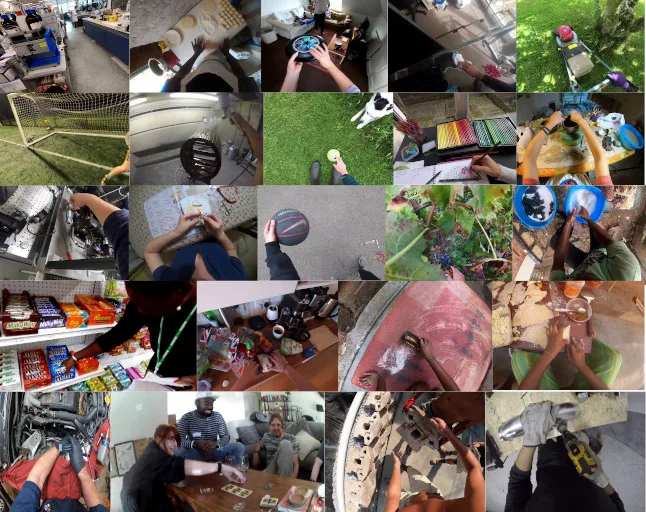 Ego4D dataset sample.